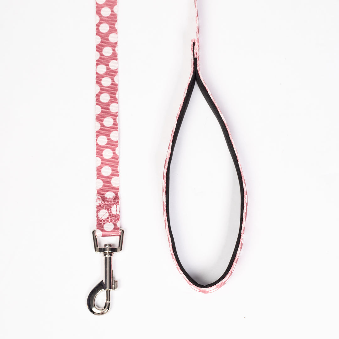 Funny Polka Dot Leash for Dogs - Fitwarm Dog Clothes