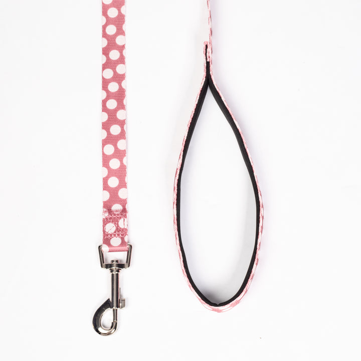 Funny Polka Dot Leash for Dogs - Fitwarm Dog Clothes