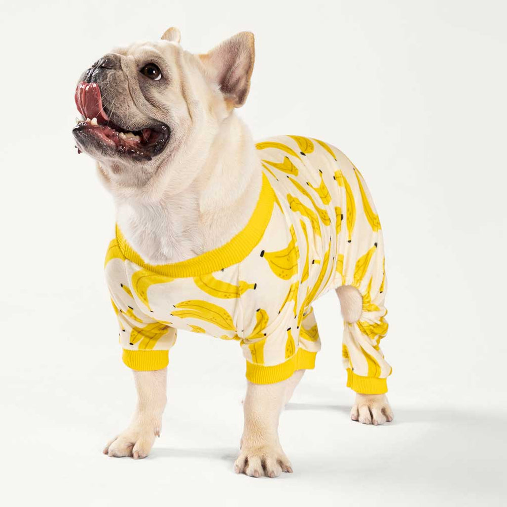 French Bull Dog in a Cute Banana Dog Footie Pajamas - Fitwarm Dog Clothes