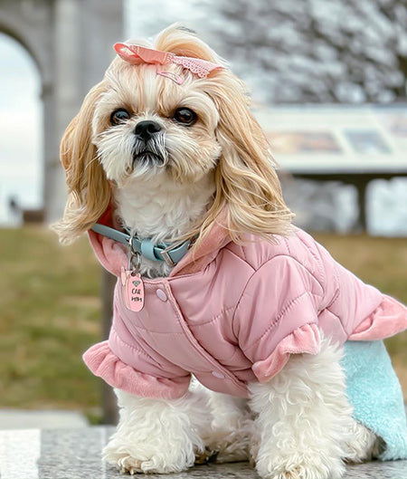 DySunny Christmas Dog Dress Dog Christmas clothes Cat clothes Autumn and  winter clothes for Shih Tzu Female Puppy Cat Dress | Lazada PH