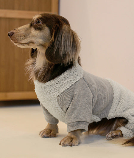 Weiner on sale dog clothing