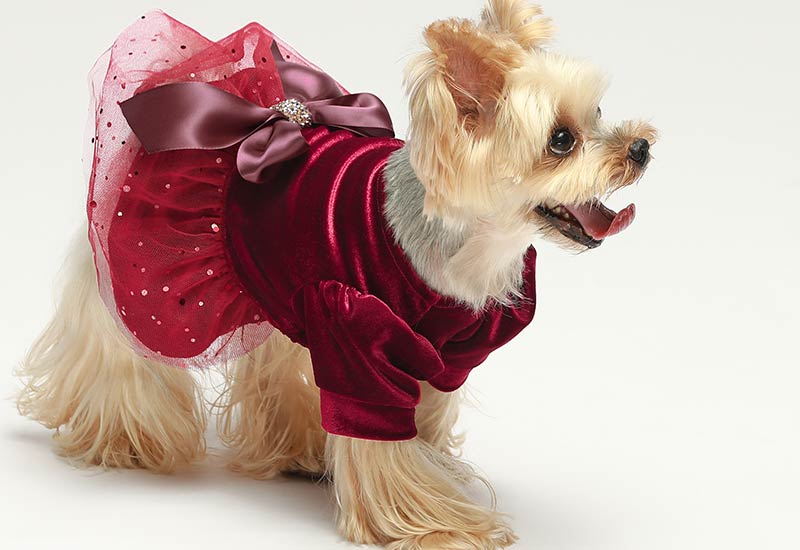 Fitwarm Ruffle Quilted Dog Coat, Pet Puffer Jacket with Hood, Dog Winter Clothes for Small Dogs Girl, Cat Hooded Outfit, Pink, Xs