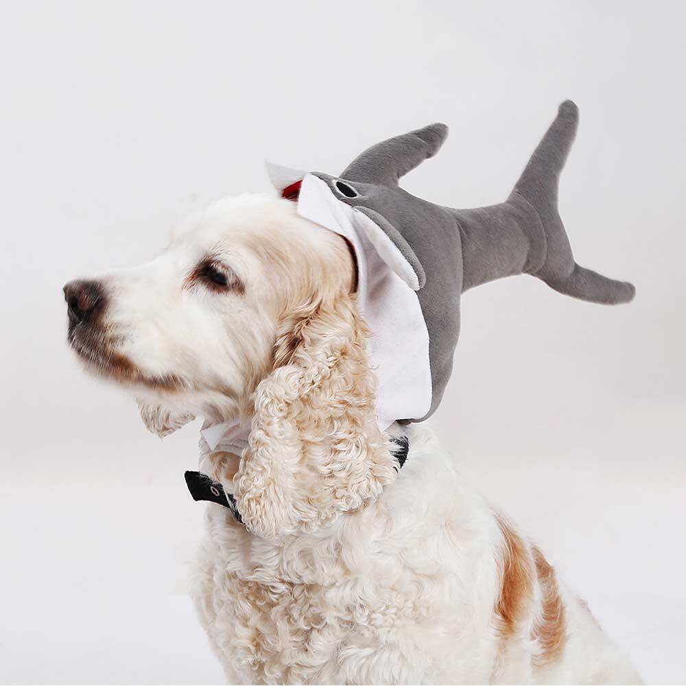 Funny Shark Head Accessory for Dogs - Fitwarm Dog Clothes