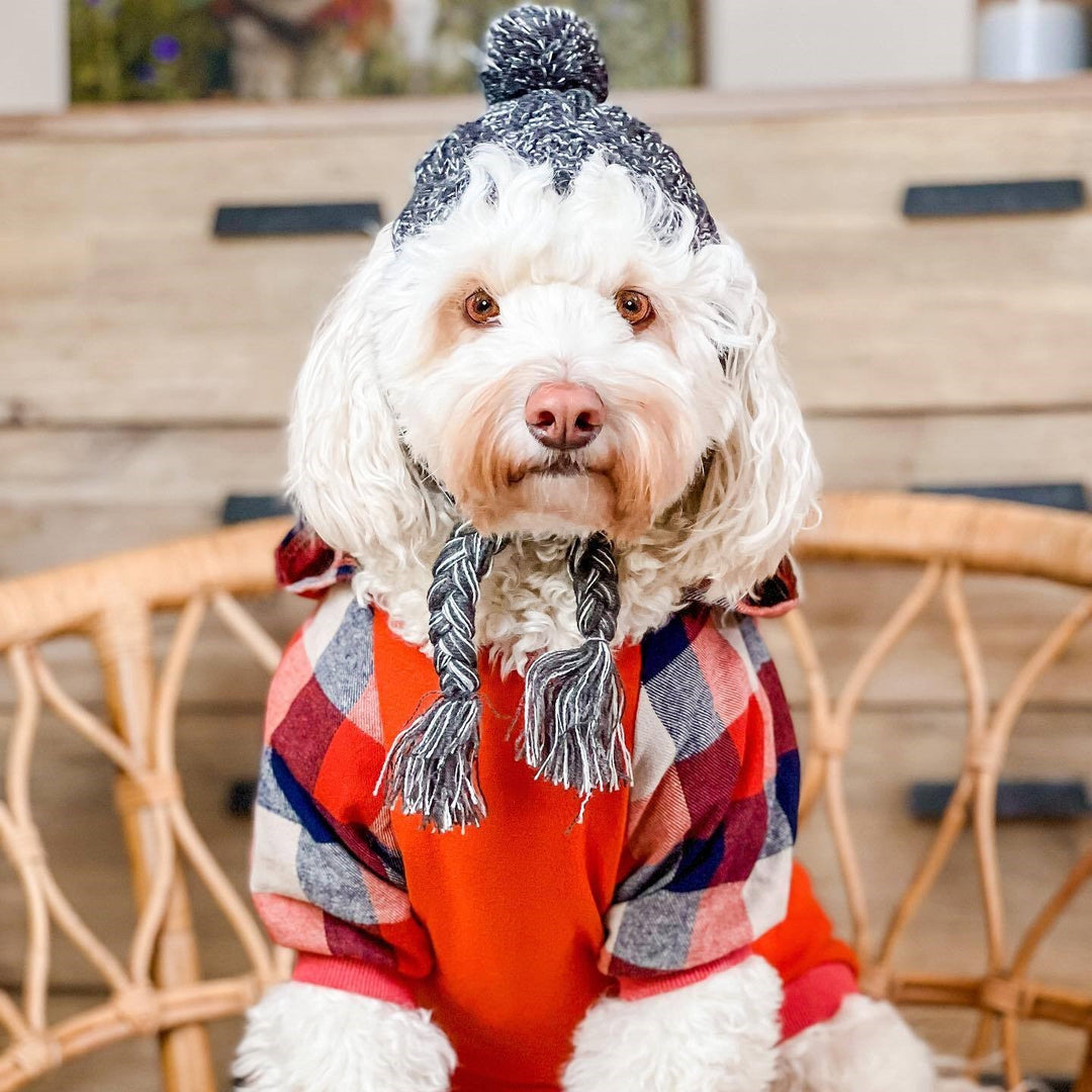 Plaid Hoodie for Dogs - Fitwarm Dog Clothes