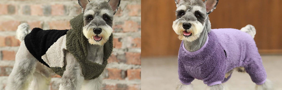 Dog Clothes for Schnauzer - Fitwarm