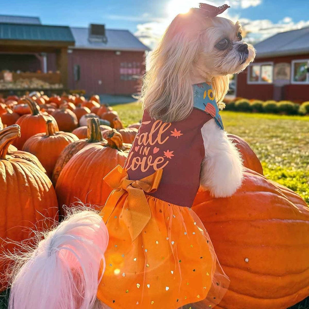 Fall in Love Tulle Dog Dress - Fitwarm Dog Clothes