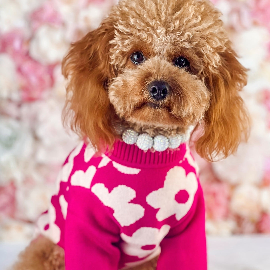 Cozy Sweater for Dogs - Fitwarm Dog Clothes