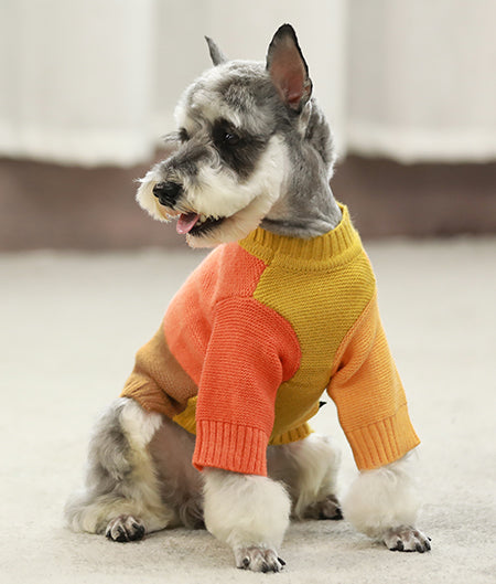 Dog Clothes for Schnauzer - Fitwarm