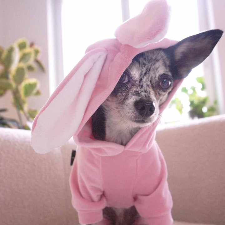 Cute Bunny Halloween Dog Costume - FItwarm Dog Clothes