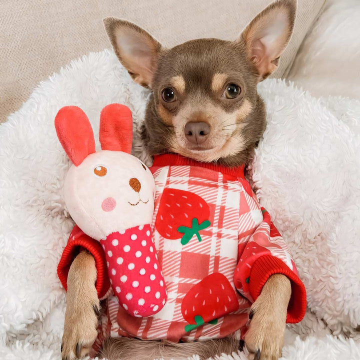 Chihuahua in a Strawberry Dog Footie Pajamas - Chihuahua Clothes - Fitwarm Dog Clothes 