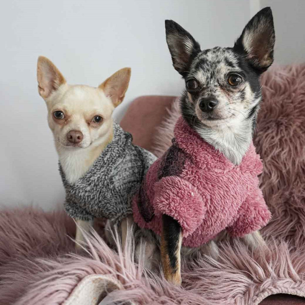 Chihuahuas in Fuzzy Dog Hoodie - Chihuahua Clothes - Fitwarm Dog Clothes