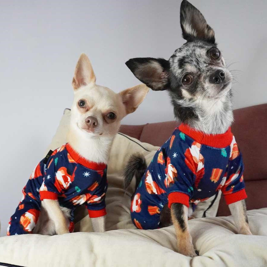 Chihuahuas in Gnome Dog Footie Pajamas - Chihuahua Clothes - Fitwarm Dog Clothes