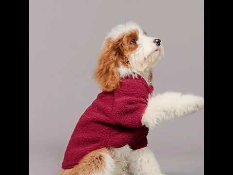 Sherpa Dog Sweater - Fitwarm Dog Clothes