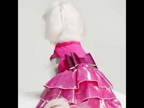 Maltese in Dog Birthday Dog Dresses - Dogs at Weddings Outfits - Fitwarm Dog Clothes