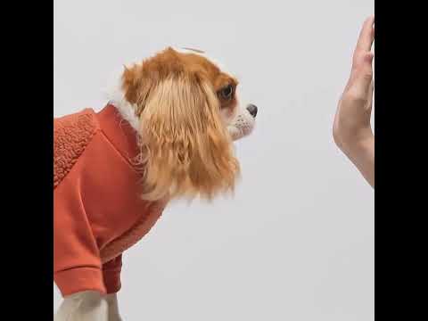 Cozy Sherpa Sweater for Dogs - Fitwarm Dog Clothes