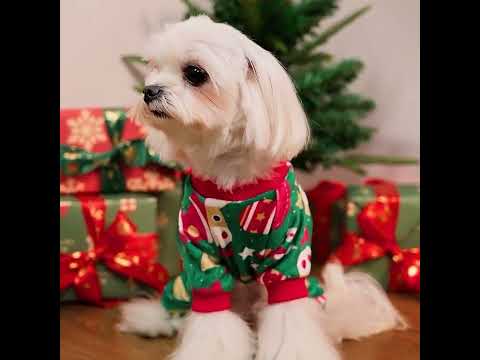 Funny Christmas Onesie for Dogs - Fitwarm Christmas Outfit