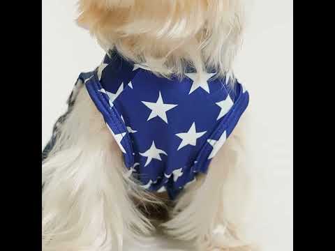 Yorkie in a Patriotic Star Dog Dress - Fitwarm Dog Clothes