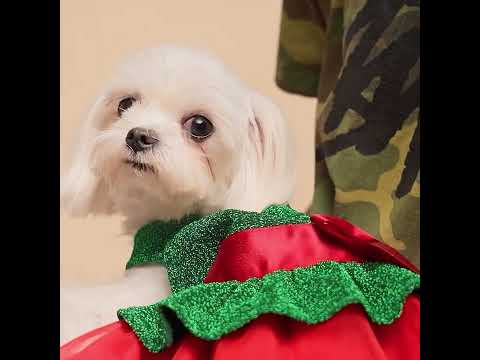 Christmas Gift Dog Dress - Fitwarm Dog Christmas Outfit