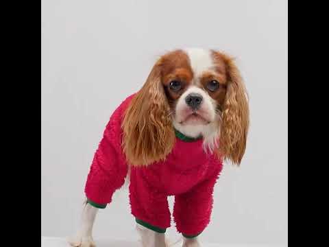 Christmas Velvet Dog Pajamas - Fitwarm Dog Onesie