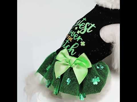 Maltese in a St' Patrick's Day Dog Dress - Fitwarm Dog Clothes