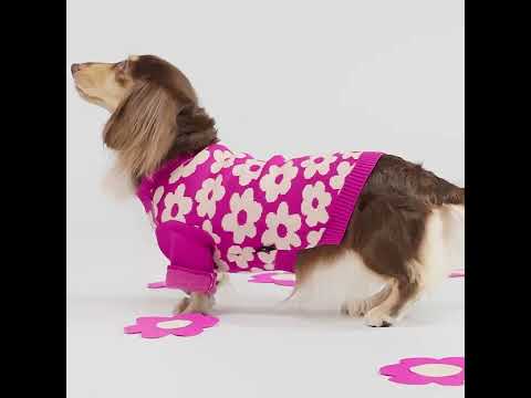 Cute Floral Winter Sweater for Dogs - Fitwarm Dog Clothes