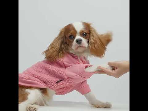 Cozy Winter Dog Sherpa Sweater - Fitwarm Dog Clothes