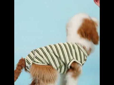 Striped Dog Recovery Suit - Fitwarm Dog Clothes