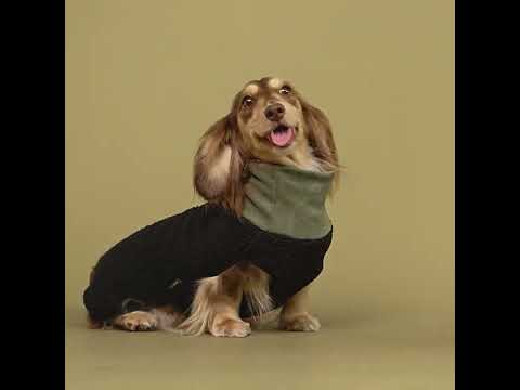 Sherpa Turtleneck Sweater for Dogs - Fitwarm Dog Clothes