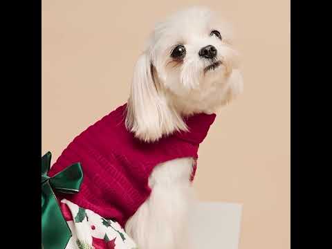 Christmas Floral Dog Dress - Fitwarm Dog Christmas Outfit