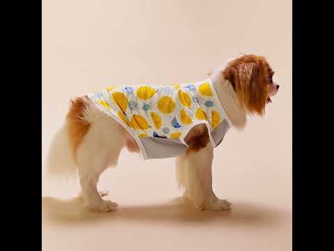 Summer Sun Protection Dog Tank Top - FItwarm Dog Clothes