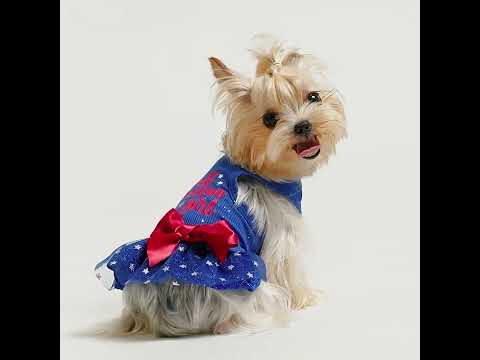 Yorkie in a Patriotic All American Girl Dog Dress - Fitwarm Dog Clothes
