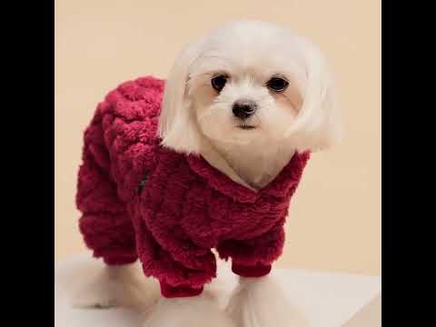 Collared Neck Onesie for Dogs - Fitwarm Dog Clothes