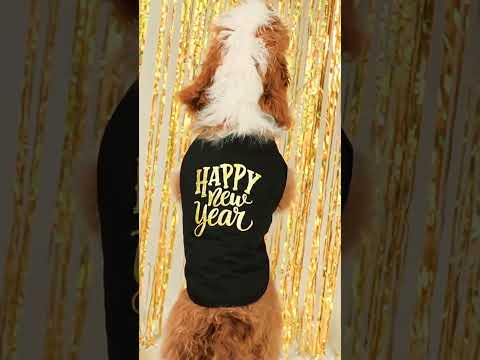 Funny Happy New Year Dog Shirt - Fitwarm Dog Clothes