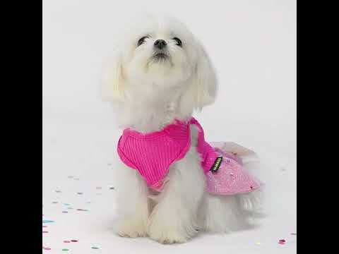 Festive Celebration Dog Dresses - Fitwarm Dog Clothes