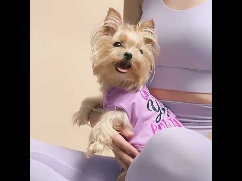 Yorkie in a Mama's Yoga Pawtner Summer Dog Tank Top - Fitwarm Dog Shirt