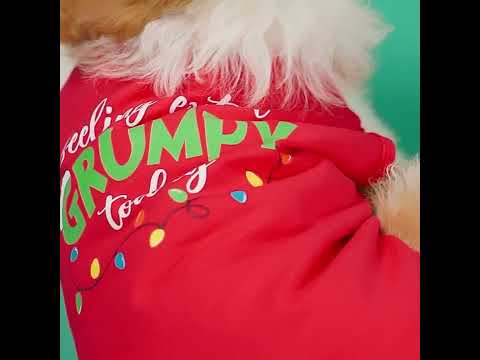 Funny Christmas Dog Shirt - Fitwarm Dog Christmas Outfit