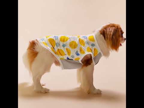 Cavalier King Charles Spaniel in Ice Lemon Summer Dog Shirt - Fitwarm Dog Clothes