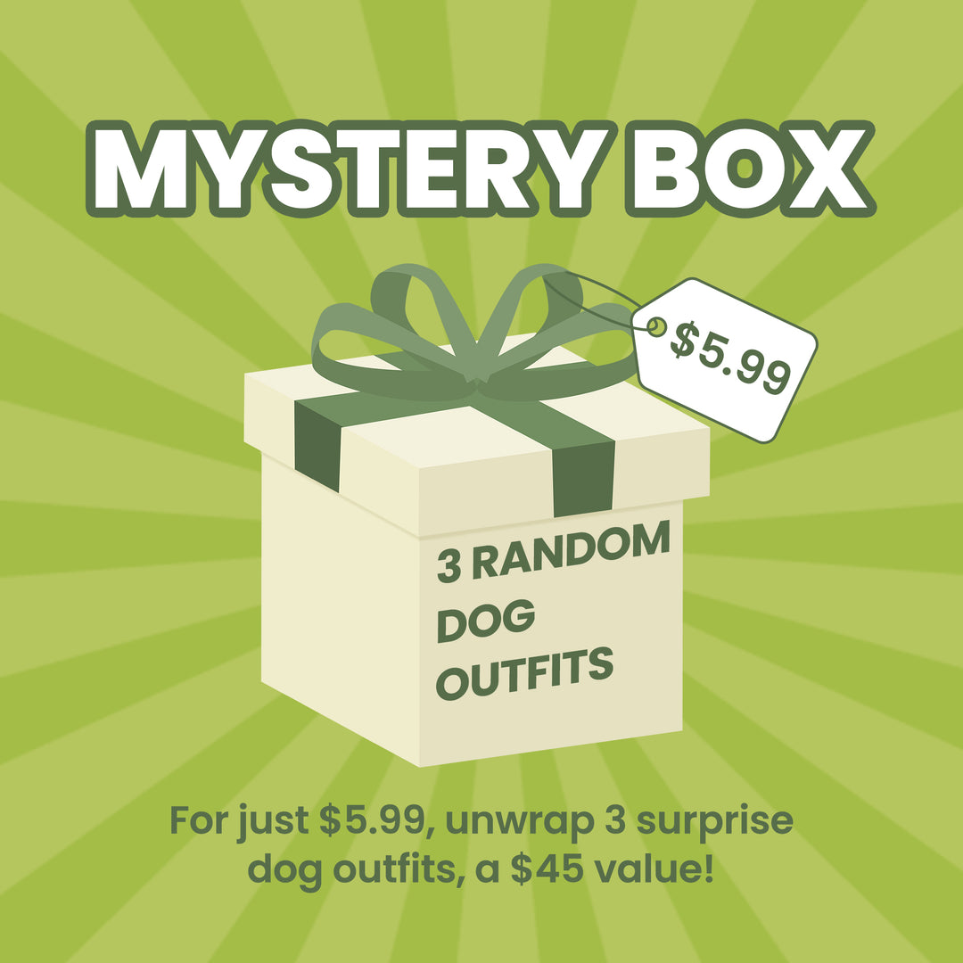 Funny Dog Clothes Mystery Box - Fitwarm Dog Outfit