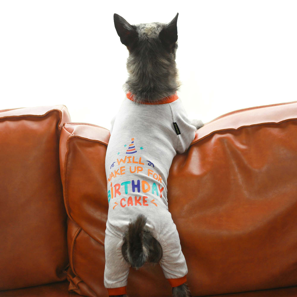 Will Wake Up For Birthday Cake Dog Pajamas