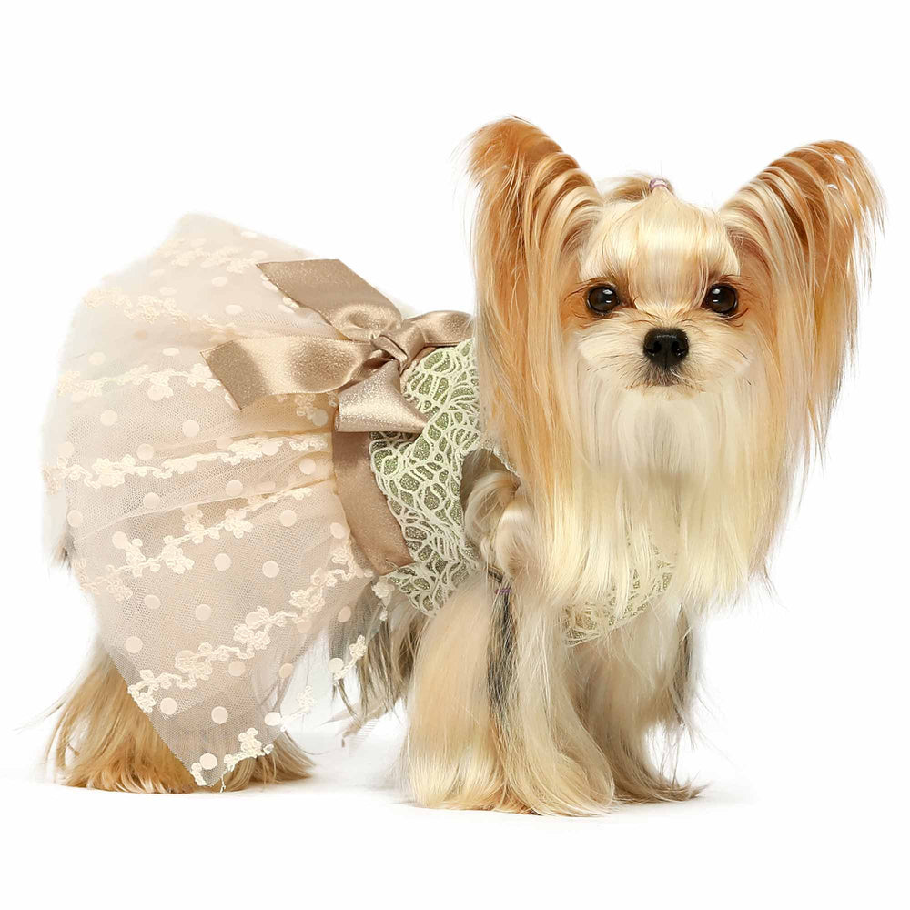 Shinning Embroidered Dog Dress - Dogs at Weddings Outfits - Fitwarm Dog Clothes