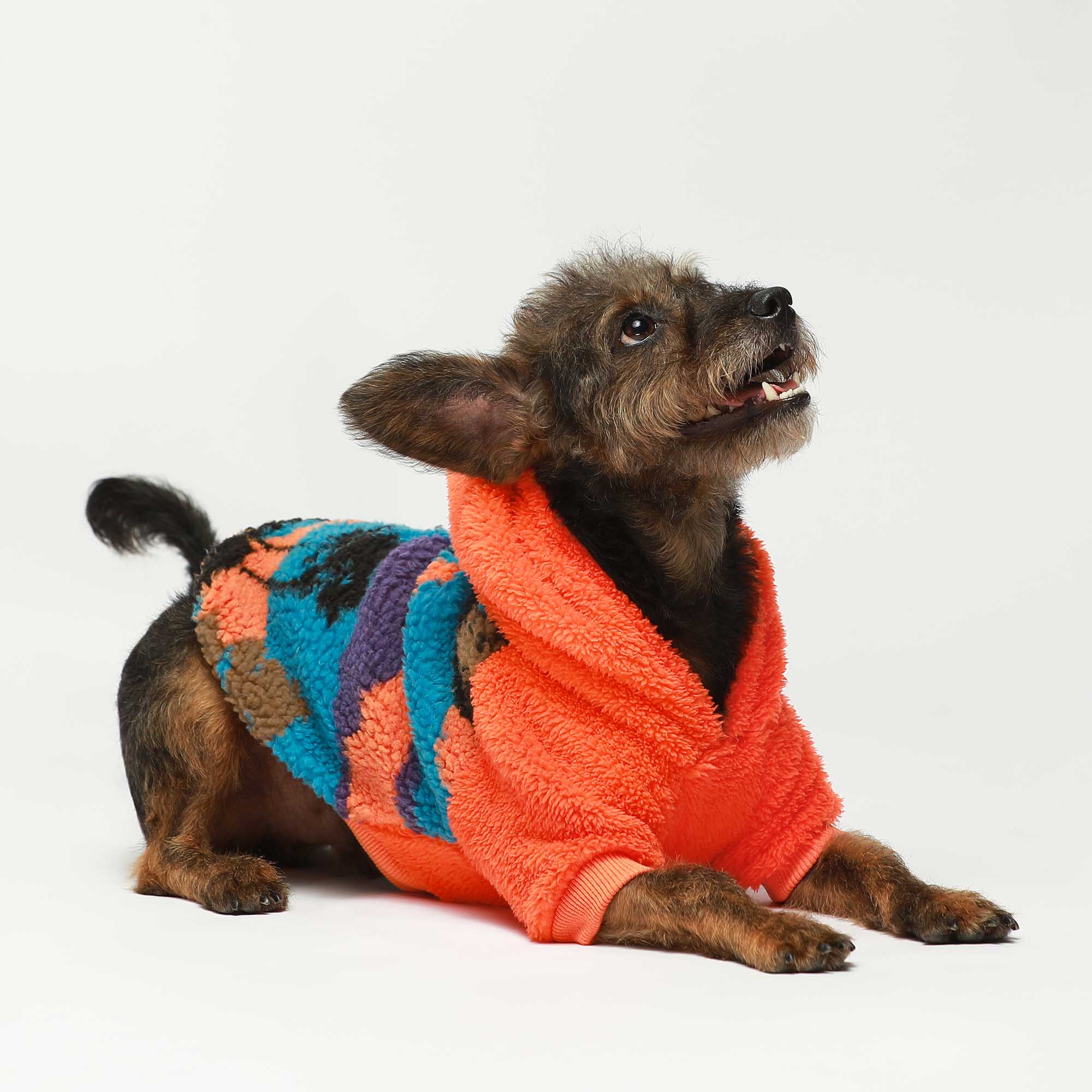 Fashion dog sherpa hoodie