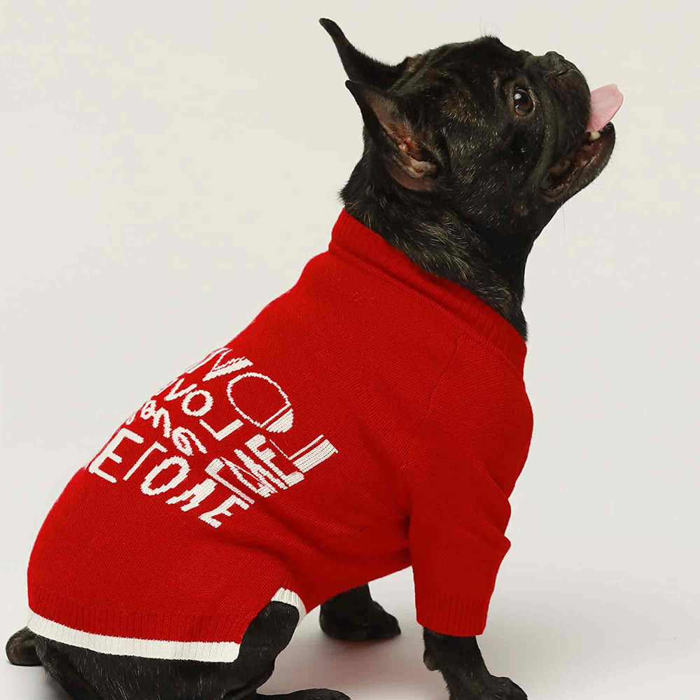 Love Love Dog Sweater - Dogs at Weddings Outfits - Fitwarm Dog Clothes