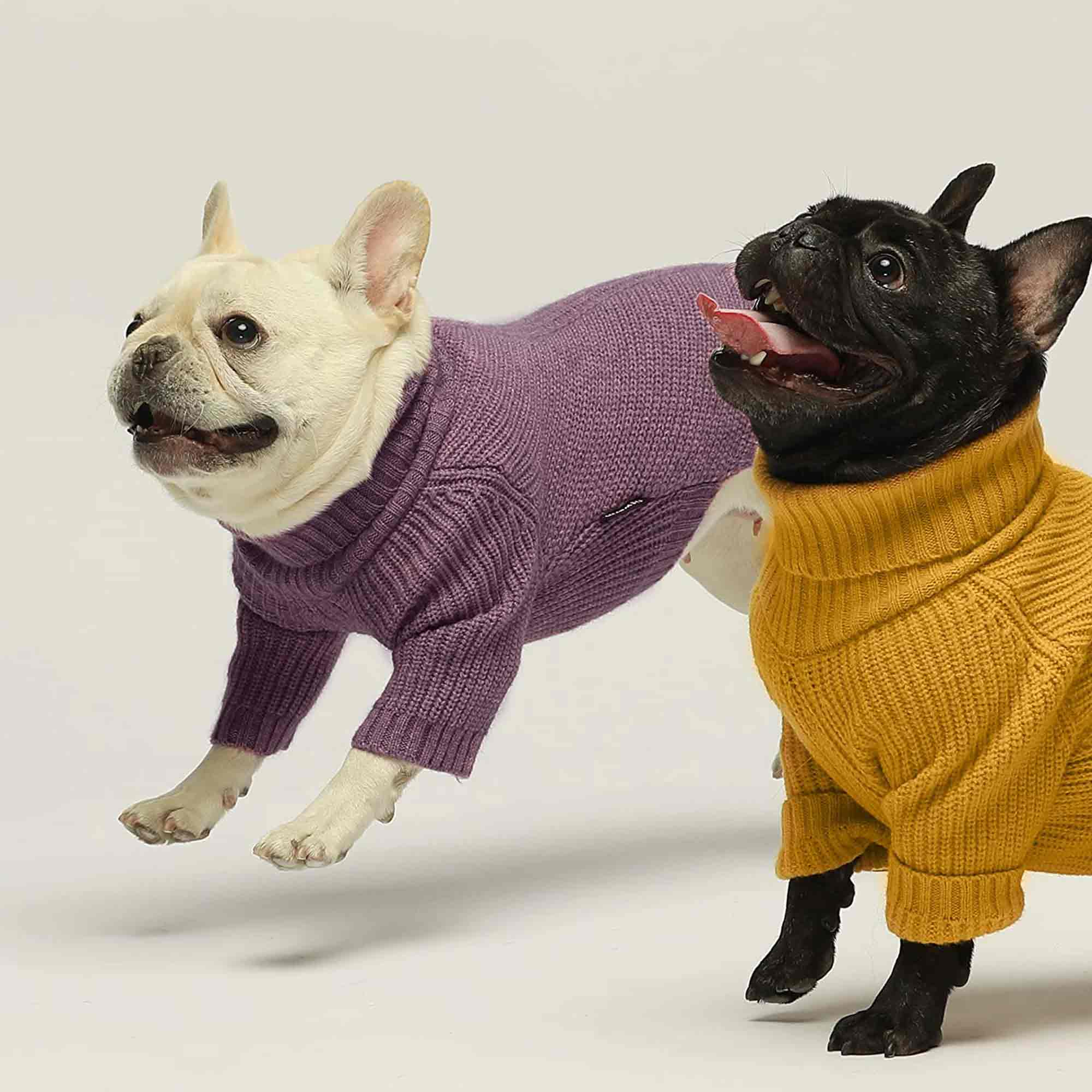 Black turtleneck shops for dogs