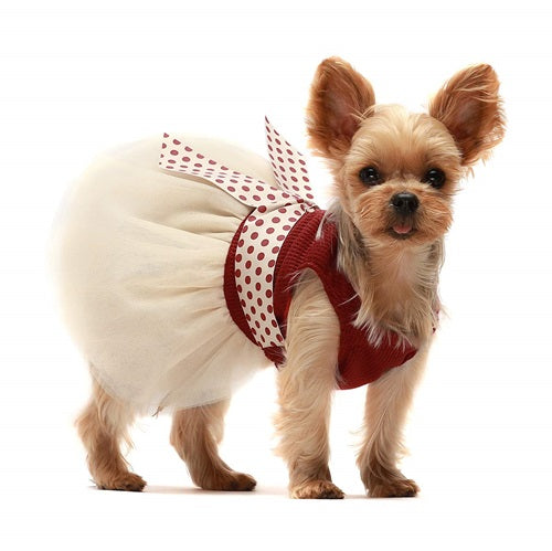 Dot Belt Dog Dresses