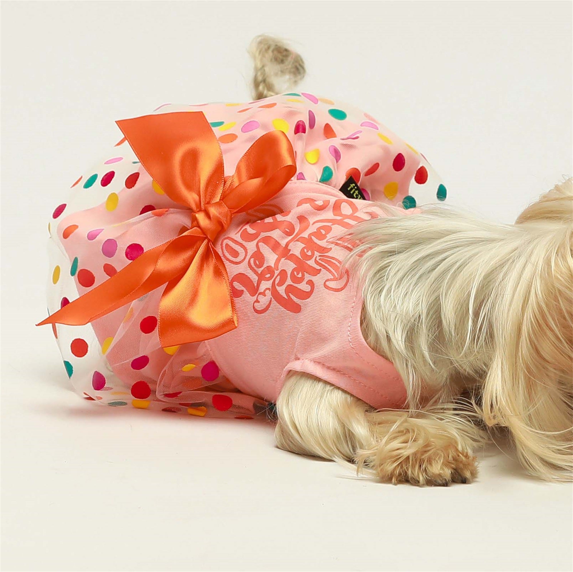 Easter dog outlet clothes