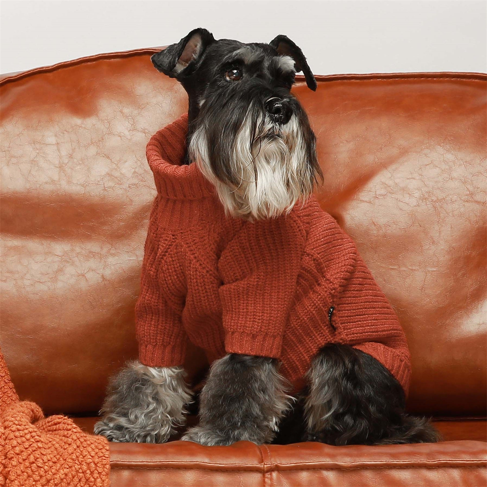 Dog turtleneck deals sweater