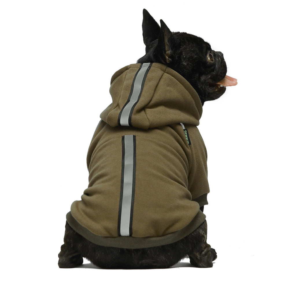 Reflective Dog Hoodie