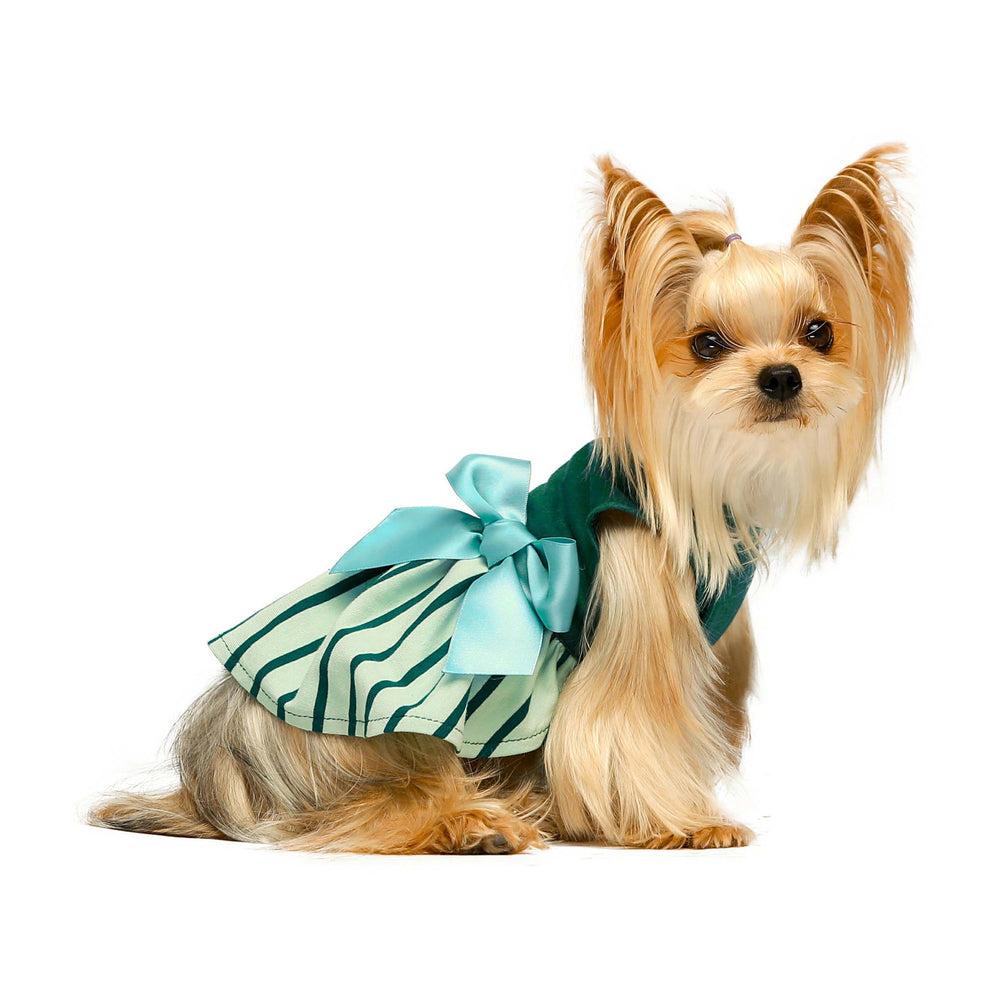 Green Stripe Dog Dress