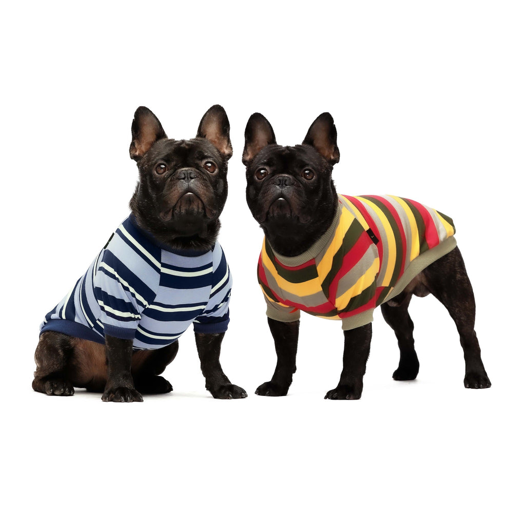 2-Pack 100% Cotton Striped Dog Shirts Blue-Yellow