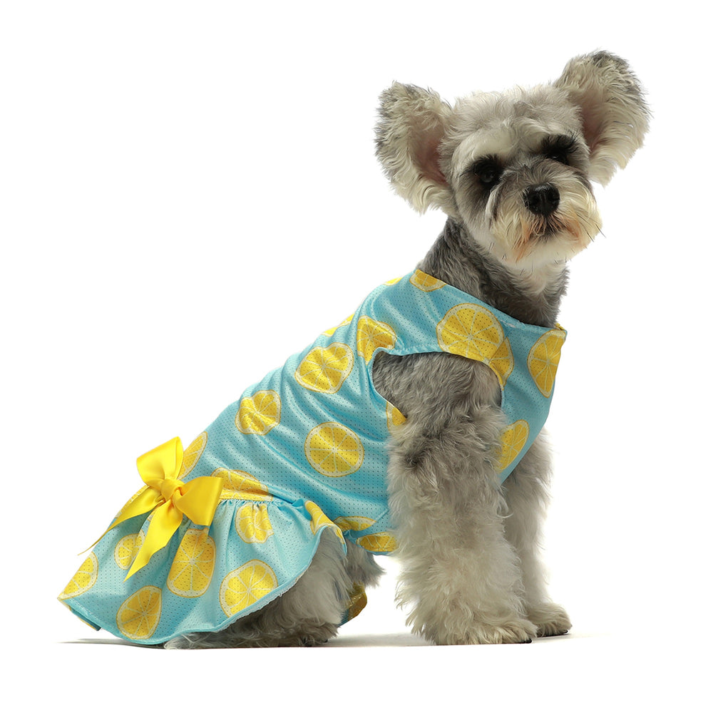 Lemon Dog Dress